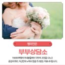 연은 결혼정보 이미지