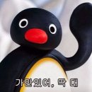 딱대 티스토리