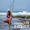 도시어부낚시카페 | 트립 빌리지 스리랑카 남부 여행 후기 갈레포트 장대 낚시