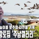 철새도래지인 ‘주남저수지’에 ‘주남갤러리’ 간판을 걸고 있는 작은 황토집 | 자연의 철학자들 51부 새와 함께 춤을 이미지