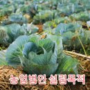 행정사사무소 이상 이미지