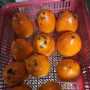 홍시약국 이미지