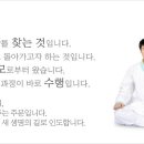 증산도 수행하는 버(영상) 이미지