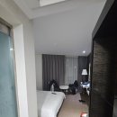 제주도 아인스호텔 숙박후기 (스탠다드더블룸,조식)