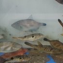 수향모텔 이미지