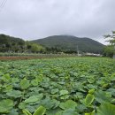 사회복지법인내원 마하재활병원 이미지