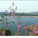 명구농장 이미지