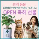 24시 수유 바른펫 동물의료센터 | [반려동물] 병원 애견카페 애견호텔 펫 용품점 개업 축하 화분 예쁜 곳 추천