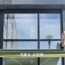 서구-02-39 | &lt;방문 후기&gt;증명사진 잘 찍는 인천 가정동 루원시티 가로수 사진관(여권 사진, 가격, 예약)