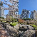 식사중앙공원 화장실 이미지