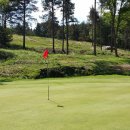 코코와 나비 이미지