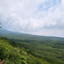 거린사슴