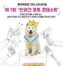 [이벤트]롯데백화점 건대 스타시티점 반려견 사진 컨테스트 이미지