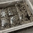 새부산어린이집 이미지