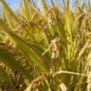 신지농장 이미지