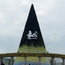 시티즌랜드 이미지