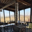 느티나무작은도서관 | 월롱면 느티나무 카페 정원이 있는 가을에 가면 좋은 곳