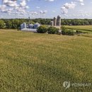 혁신농장 이미지