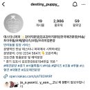 데스티니 퍼피 이미지