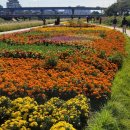 아름다운도시행복한도 이미지