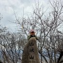 경남 밀양시 용두산 잔도길 / 산성산~.. 이미지