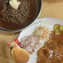휘경66 | [회기역 맛집] 회기 돈까스맛집 회기냉모밀맛집 | 금화왕돈까스 휘경점 내돈내산 후기