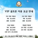 브이아이피골프존 네이버블로그