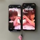 먹느라 인생의 흐름을 하나도 못 잡았어요……