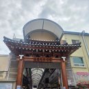 #42 영월 구름품은 캠핑장 12번사이트 후기