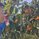 송원농장2 이미지