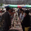 송진초등학교 이미지