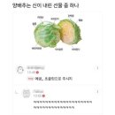 뱃살도둑 이미지