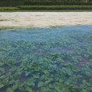 여수농장 이미지