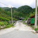백련산농장 티스토리