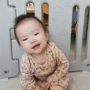 네일;달그리다