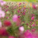 너를 만나다 이미지