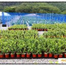 녹지농장 이미지