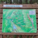 오감연결길 네이버블로그