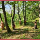 태권도 골든로드 이미지