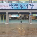 삼백송어장
