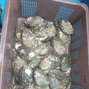 해광공구 이미지