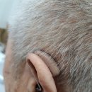 시그니아독일보청기 노원센터 | 할아버지 맞춤 보청기 상담 및 착용 후기! 시그니아보청기 노원 도봉센터