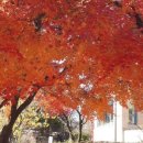 벌등공원 이미지