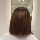 여주-0651 네이버블로그