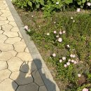 광수육회 이미지