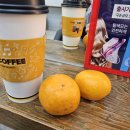 두꺼비로60번길(3-253) | 청주산남동미용실_붐헤어 매직 후기｜ 두피관리까지 같이 받은 날