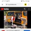 반송1동-19 Daum카페