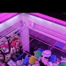 화순 토이샵 이미지