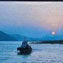 연평도 충민사(임경업사당) | &#34;풍어를 노래하던&#34; 눈물의 연평도