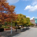 [2015 수시잣대] 주요대학 등록금 톱3 연대 한대 성대 산기대 901만원 최고, 시립대(238만원)의 4배 [베리타스] 이미지